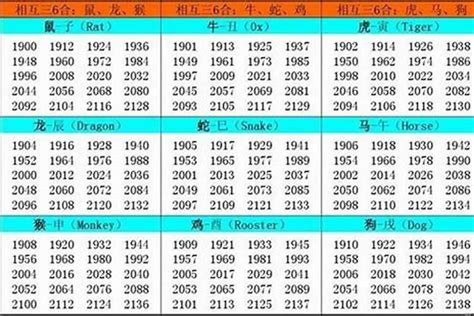 2002 年生肖|2002 年出生属什么生肖